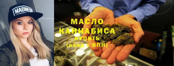 дмт Каменногорск