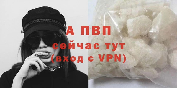дмт Каменногорск