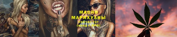 дмт Каменногорск
