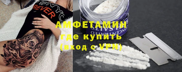 дмт Каменногорск
