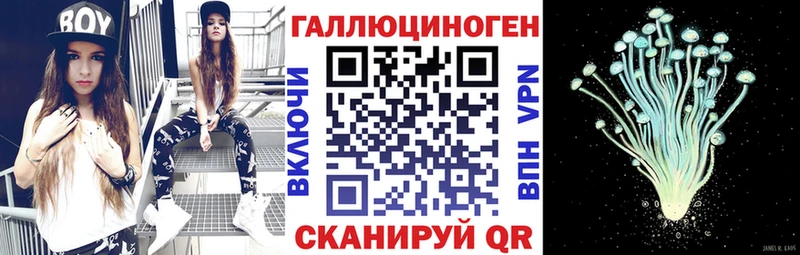 Псилоцибиновые грибы Psilocybe  Купить  Грязовец 